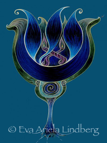 SHIN_TULIP